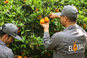 3ecaea95-4bbc-48c6-8893-af3328803faa