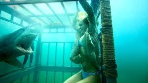 You think that cage will keep you safe as you degrade your self? Think again, Shark-Food!