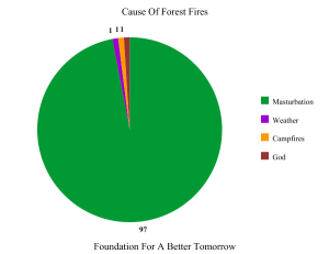 Forest Fire Causes - Faith Graph™