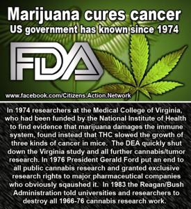 Marijuana-cures-cancer
