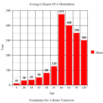 Masturbator Lifespan