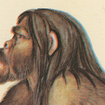 New Species - The Masturbator